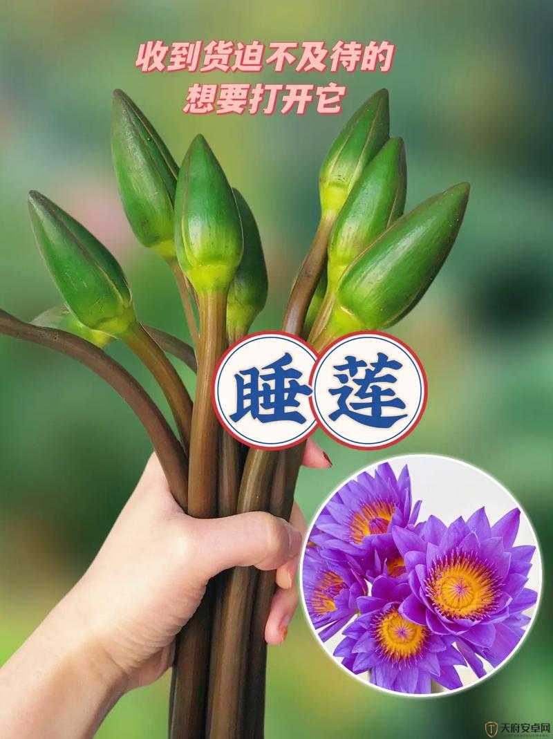 女性半夜莲花开放的治疗方法：全面解析与有效应对策略